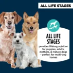 Authority® Everyday Health All Life Stages Dry Dog Food - Chicken & Rice - Image 3