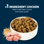 Authority® Everyday Health All Life Stages Dry Dog Food - Chicken & Rice - Image 4
