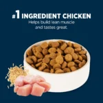 Authority® Everyday Health Large Breed Adult Dry Dog Food - Chicken & Rice - Image 4