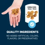 Authority® Everyday Health Large Breed Adult Dry Dog Food - Chicken & Rice - Image 5