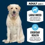 Authority® Everyday Health Large Breed Adult Dry Dog Food - Chicken & Rice - Image 3