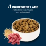 Authority® Everyday Health Large Breed Adult Dry Dog Food - Lamb & Rice, 34 lb - Image 4