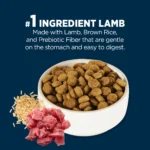 Authority® Sensitive Stomach & Skin Adult Dog Dry Food - Lamb & Rice - Image 4