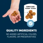 Authority® Sensitive Stomach & Skin Adult Dog Dry Food - Lamb & Rice - Image 5