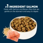 Authority® Sensitive Stomach & Skin All Life Stages Dry Dog Food - Salmon & Rice - Image 4