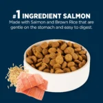 Authority Sensitive Stomach & Skin Large Breed Adult Dog Dry Food - Salmon & Rice - Image 4