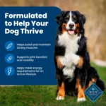 Blue Buffalo® Life Protection Formula™ Adult Dry Dog Food - Chicken & Brown Rice - Image 4