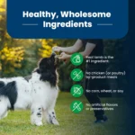 Blue Buffalo® Life Protection Formula™ Adult Dry Dog Food - Lamb & Brown Rice - Image 6