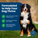 Blue Buffalo® Life Protection Formula™ Adult Dry Dog Food - Lamb & Brown Rice - Image 4