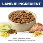 Hill's® Science Diet® Large Breed Adult Dry Dog Food - Lamb & Brown Rice - Image 3