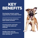 Hill's Science Diet Large Breed Puppy Dry Dog Food - Chicken & Brown Rice - Image 5