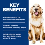 Hill's Science Diet Perfect Weight Adult Dry Dog Food - Chicken - Image 5