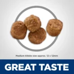 Hill's® Science Diet® Senior 7+ Dry Dog Food - Chicken, Barley & Brown Rice - Image 3
