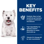 Hill's® Science Diet® Sensitive Stomach & Skin Small Bites Adult Dog Dry Food - Chicken & Barley - Image 6