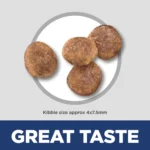 Hill's® Science Diet® Small & Mini Adult Dry Dog Food - Chicken & Brown Rice - Image 3