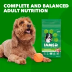 IAMS™ Proactive Health Adult Dry Dog Food - High-Protein, Mini Chunks, Chicken & Whole Grains - Image 4