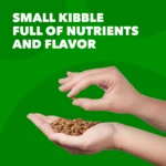IAMS™ Proactive Health Adult Dry Dog Food - High-Protein, Mini Chunks, Chicken & Whole Grains - Image 6