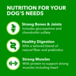 IAMS Proactive Health Adult Dry Dog Food - Large Breed, Chicken & Whole Grains - Image 5