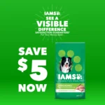 IAMS Proactive Health Adult Dry Dog Food - Large Breed, Chicken & Whole Grains - Image 9