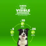 IAMS™ Proactive Health Small Breed Adult Dry Dog Food - Chicken & Whole Grains - Image 2
