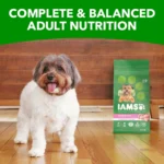 IAMS™ Proactive Health Small Breed Adult Dry Dog Food - Chicken & Whole Grains - Image 4