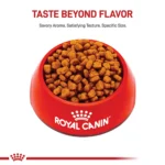 Royal Canin Adult Dry Dog Food - Yorkshire Terrier Breed Health Nutrition - Image 2