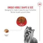 Royal Canin Adult Dry Dog Food - Yorkshire Terrier Breed Health Nutrition - Image 4