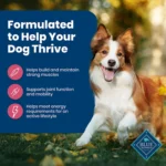 Blue Buffalo Life Protection Formula Adult Dry Dog Food - Salmon & Rice - Image 4
