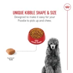 Royal Canin Adult Dry Dog Food - Poodle Breed Health Nutrition - Image 4