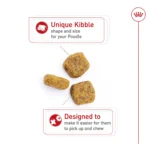 Royal Canin Adult Dry Dog Food - Poodle Breed Health Nutrition - Image 5