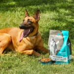 Nulo MedalSeries All Life Stages Dry Dog Food - Salmon - Image 9