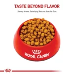 Royal Canin Adult Dry Dog Food - Shih Tzu Breed Health Nutrition - Image 2