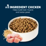Authority® Everyday Health Small Breed Adult Dry Dog Food - Chicken & Rice - Image 4