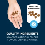 Authority® Everyday Health Small Breed Adult Dry Dog Food - Chicken & Rice - Image 5