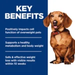 Hill's® Science Diet® Perfect Weight Small & Mini Adult Dry Dog Food - Chicken Recipe - Image 6