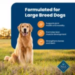 Blue Buffalo® Life Protection Formula™ Large Breed Adult Dry Dog Food - Chicken & Brown Rice - Image 4