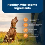 Blue Buffalo® Life Protection Formula™ Large Breed Adult Dry Dog Food - Chicken & Brown Rice - Image 6