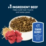 Authority Everyday Health Tender Blends Adult Dry Dog Food - Beef & Rice - Image 4