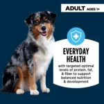 Authority® Everyday Health Adult Dry Dog Food - Chicken & Rice - Image 3