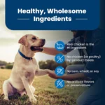 Blue Buffalo® Life Protection Formula™ Senior 7+ Dry Dog Food - Chicken & Brown Rice - Image 6