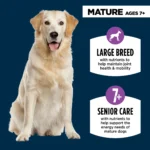 Authority® Everyday Health Large Breed Senior 7+ Dry Dog Food - Chicken & Rice - Image 3