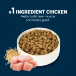 Authority® Everyday Health Large Breed Senior 7+ Dry Dog Food - Chicken & Rice - Image 4