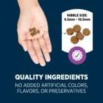 Authority® Everyday Health Large Breed Senior 7+ Dry Dog Food - Chicken & Rice - Image 5
