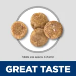 Hill's® Science Diet® Sensitive Stomach & Skin Small & Mini Adult Dog Dry Food - Chicken & Rice - Image 3