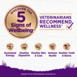 Wellness® Complete Health Adult Dog Food - Natural - Image 4