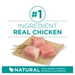 Purina ONE® +Plus Adult Dog Dry Food - Chicken, Natural, High-Protein - Image 4