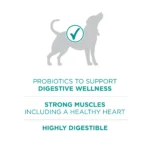 Purina ONE® +Plus Adult Dog Dry Food - Chicken, Natural, High-Protein - Image 5