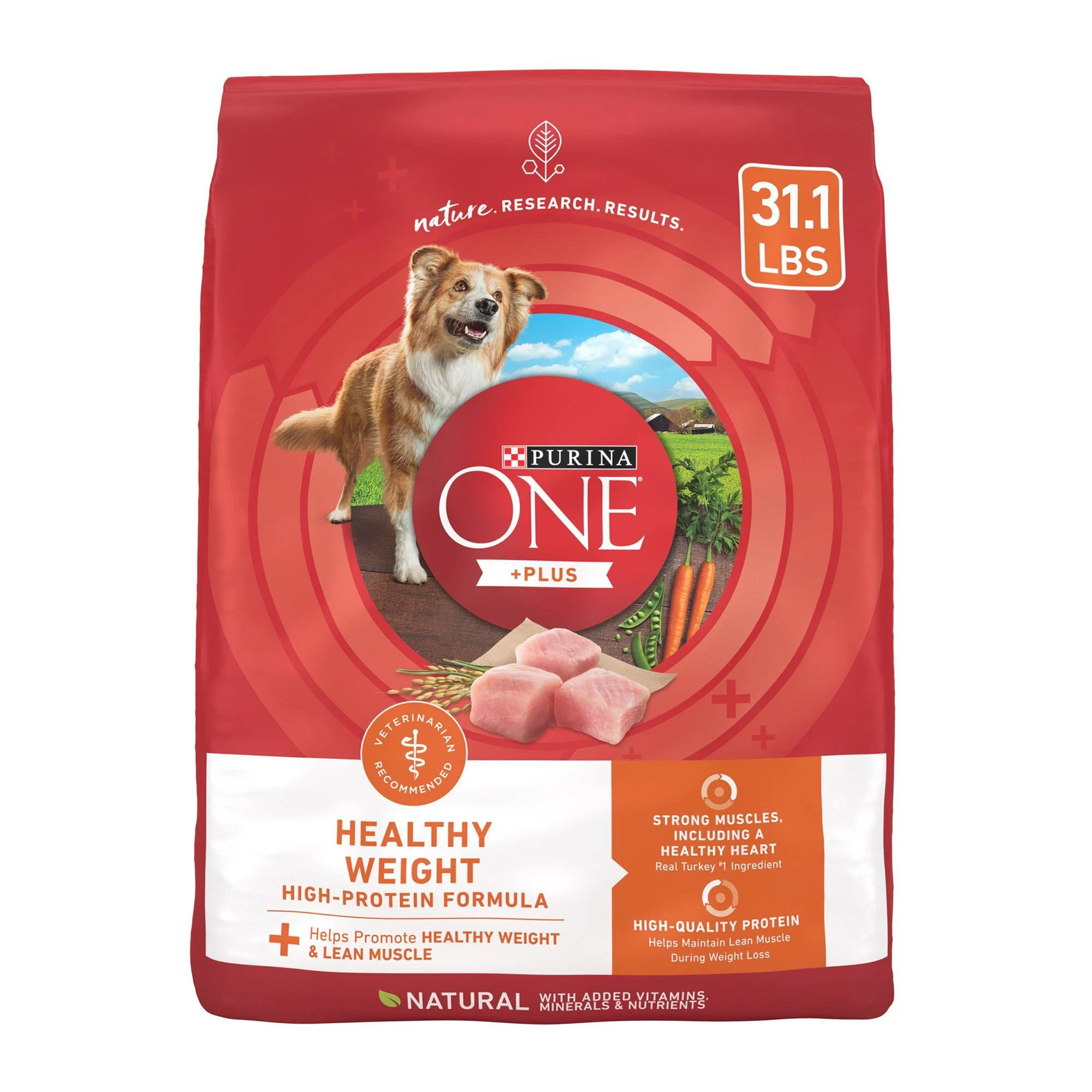 img_1761116243847_287_3V8XEfA3L.webp Purina ONE® +Plus Adult Dog Dry Food - Turkey, High-Protein, Natural - Image 1