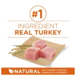 Purina ONE® +Plus Adult Dog Dry Food - Turkey, High-Protein, Natural - Image 4