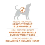 Purina ONE® +Plus Adult Dog Dry Food - Turkey, High-Protein, Natural - Image 5